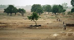 AGROECOLOGIQUE  POUR LUTTER CONTRE LA DESERTIFICATION DANS L-AGRICULTURE SAHELIENNE AU BURKINA FASO