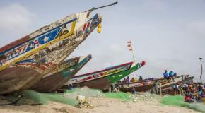 Pour protéger ses ressources, la Sierra Leone interdit temporairement la pêche industrielle