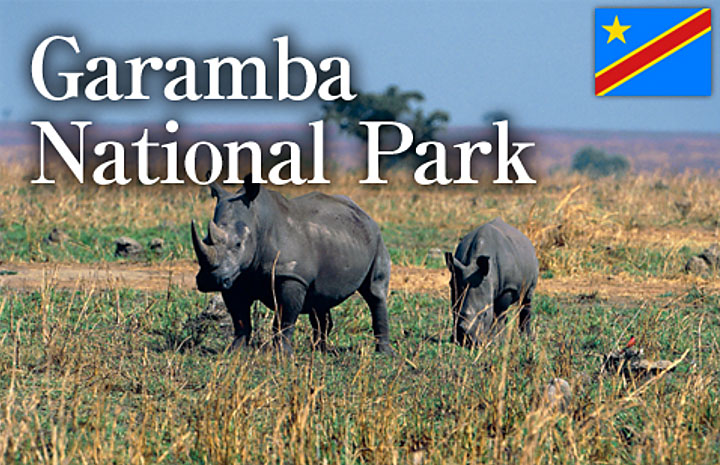 Parc national de la Garamba : de nombreuses espèces animales en voie d’extermination