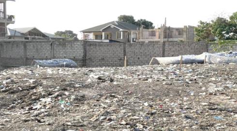 PERTE DE LA BIODIVERSITE A LEMBA : LE CRI D-ALARME FACE A LA DISPARITION DU « POUMON VERT » DE LA COMMUNE