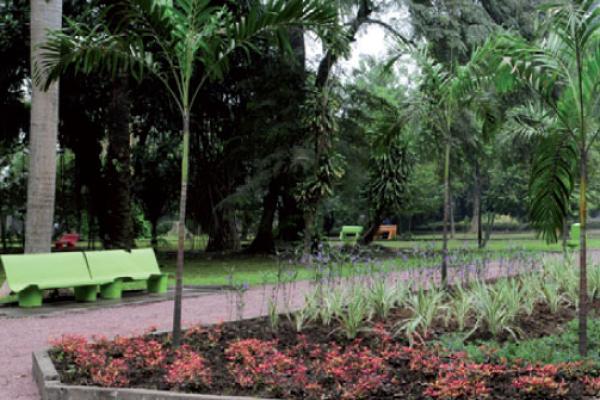 JARDIN BOTANIQUE DE KINSHASA