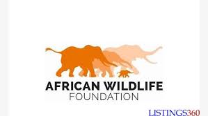 Conservation : AWF lance un appel à candidatures pour le projet ACV Phone-Based Storytelling Lab  (laboratoire d-histoires par téléphone)