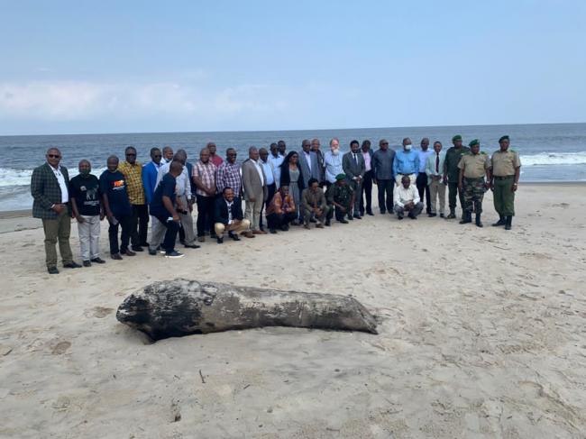 Conservation : DANS LE POOL DE DEVELOPPEMENT, l’ICCN OPERE COMME UN ETAT DANS UN ETAT EN MILIEUX RURAUX : DECLARATION DU Dr COSMA WILUNGULA. 