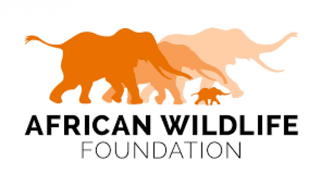 UNE ENQUÊTE DE L’AFRICAN WILDLIFE FOUNDATION MONTRE QUE LES ACTIVITÉS ANTROPIQUES DE SUBSISTANCE MENACENT LA BIODIVERSITÉ DANS LE BILI UELE