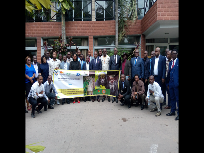 Conservation : AWF LANCE UNE SERIE DES FORMATIONS SUR L’ASSISTANCE JUDICIAIRE ET LES POURSUITES EN MATIERE D’ESPECES SAUVAGES