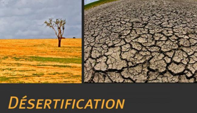 JOURNEE MONDIALE DE LA LUTTE CONTRE LA DESERTIFICATION ET LA SECHERESSE : LE SECRETAIRE GENERAL APPELLE A PLACER LA SANTE DES TERRES AU CŒUR DE TOUS NOS PROJETS