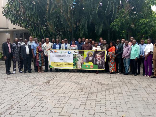 conservation : AWF et ICCN POURSUIVENT LA SERIE DES FORMATION SUR L’ASSISTANCE JUDICIAIRE ET LES POURSUITES EN MATIERE D’ESPECES SAUVAGES.